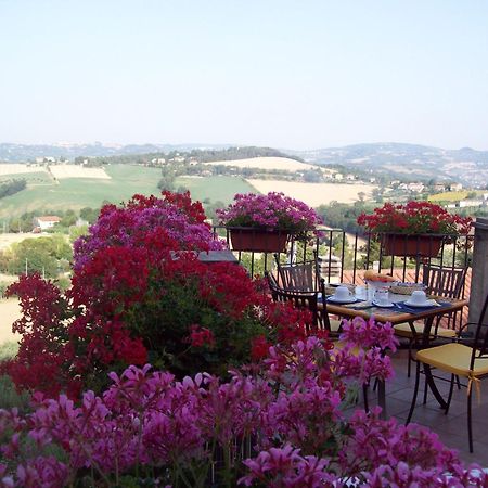 Bed and Breakfast La Terrazza Fio...Rita Ripa Zewnętrze zdjęcie