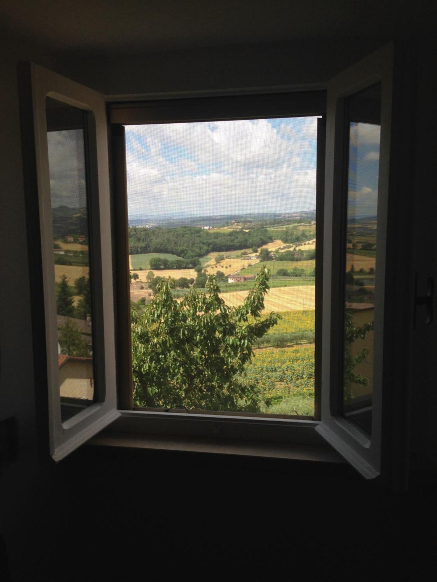 Bed and Breakfast La Terrazza Fio...Rita Ripa Zewnętrze zdjęcie